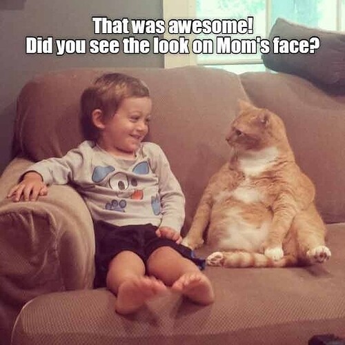 main-qimg-42a271e00721230ab6f2f97c439df7c3