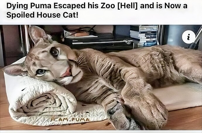 retouch_2024051115011665