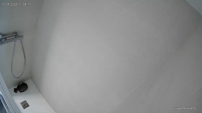 realm168-cam116-1791450285