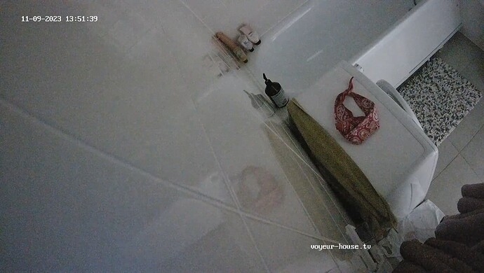 realm80-cam110-1699527137