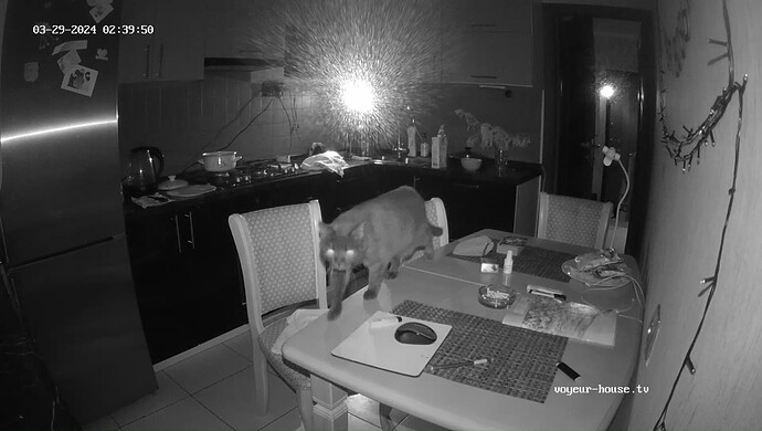 realm61-cam12-1711669646