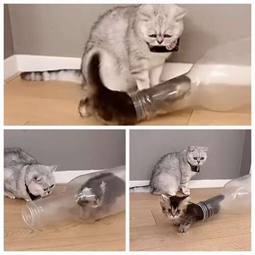 main-qimg-f883a437fbeb15ca74e6f02997785c67