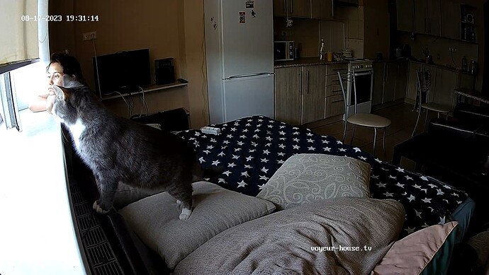 realm11-cam13-1692289913