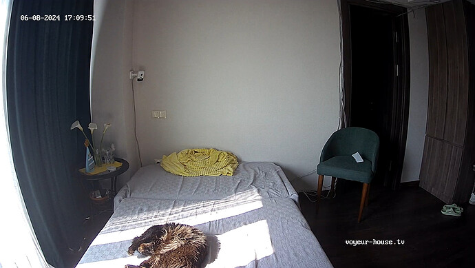 realm89-cam14-1717852229