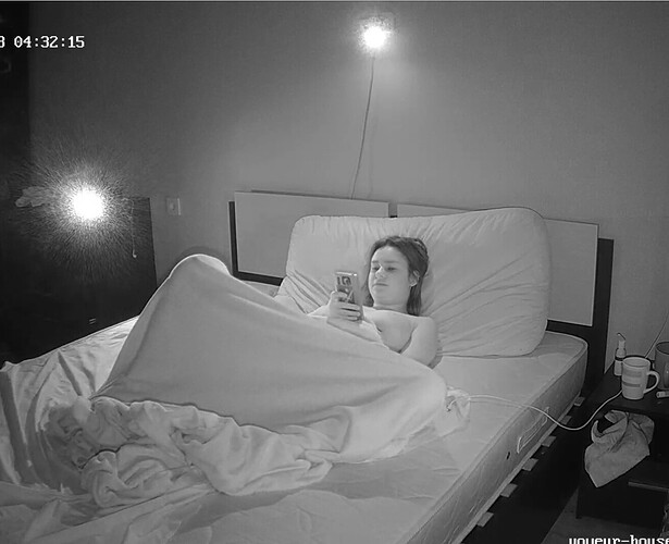 Screenshot 2023-08-18 at 15-00-44 Bedroom camera at Toriana reallifecam apartment at Voyeur House TV (cam18)