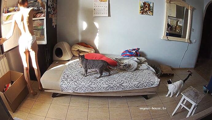 realm60-cam13-1762635031