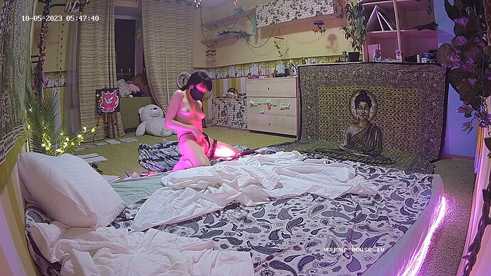 Vani_231005_camshow_guestroom_@_Tonk_realm55-cam19-1696494533