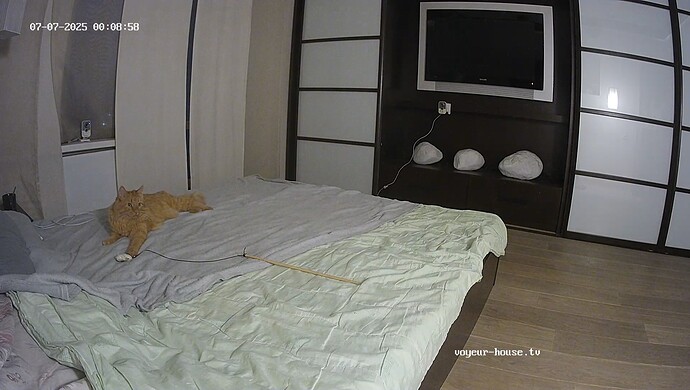 realm55-cam111-1751825373