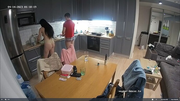 Ashampoo_Snap_vendredi 14 avril 2023_0h18m59s_034_Camille & Will apartment with reallifecam cameras at Voyeur House TV - Google Chrome