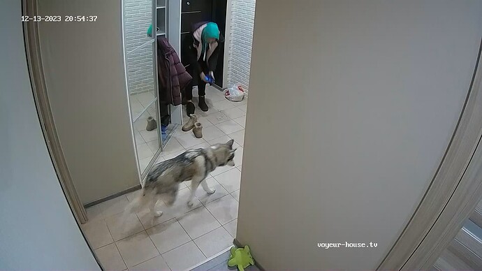 realm62-cam111-1702490199