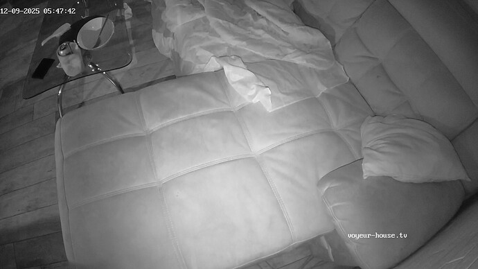 realm126-cam16-1765298801