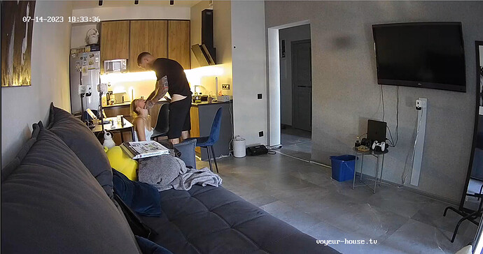 Screenshot 2023-07-14 at 11-36-37 Living room camera at Amelie & Lucas reallifecam apartment at Voyeur House TV (cam13)