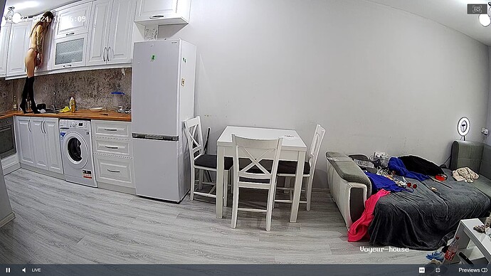 Noldus 2024-01-27 09-46-41-462