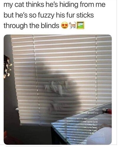 main-qimg-2cdbe54c67f7431ed4c3542641136774