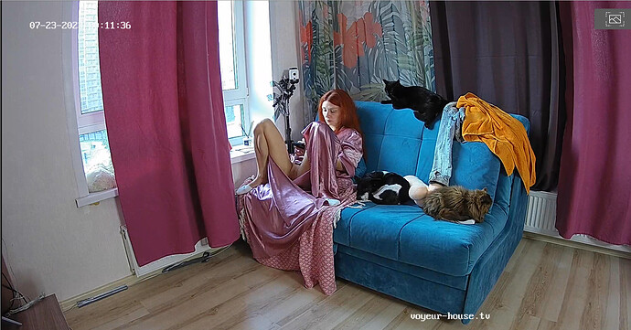 Screenshot 2023-07-23 at 13-13-43 KayaEyes apartment with reallifecam cameras at Voyeur House TV