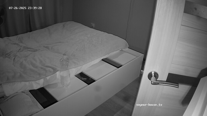 realm62-cam19-1753562402