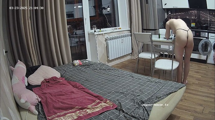 Ashampoo_Snap_dimanche 23 mars 2025_19h4m55s_008_Living room camera at Tea reallifecam apartment at Voyeur House TV (cam14) - Google Chrome