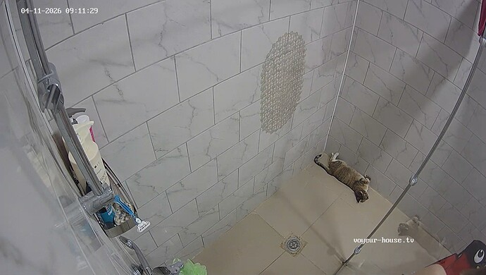 realm64-cam113-1775903622