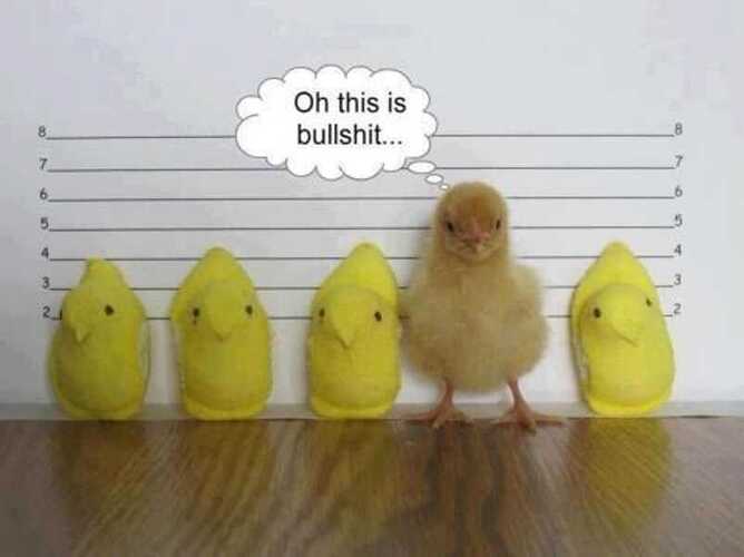 peep