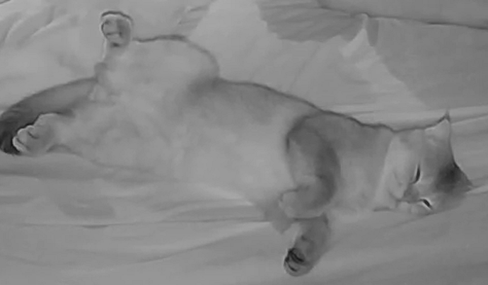 Busya always ready for the cam closer