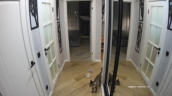 realm94-cam14-1755118254