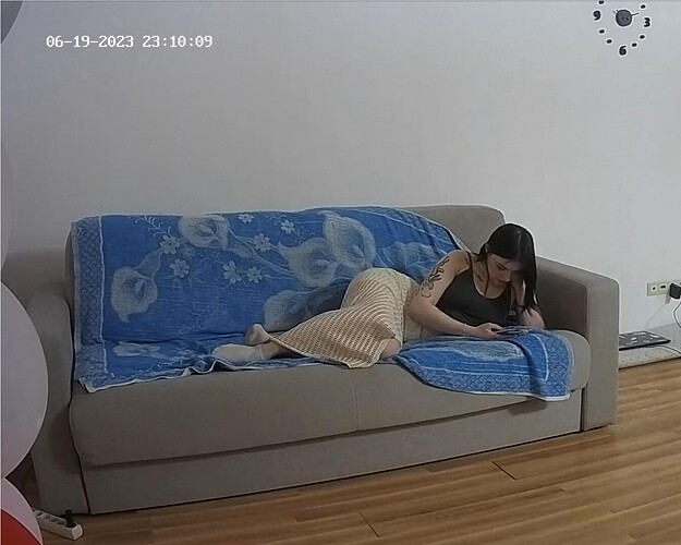 Screenshot 2023-06-19 at 13-10-44 Guest bedroom camera at Sophia Elon Claudia reallifecam apartment at Voyeur House TV (cam110)