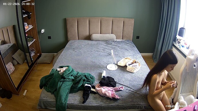 realm135-cam17-1769080262