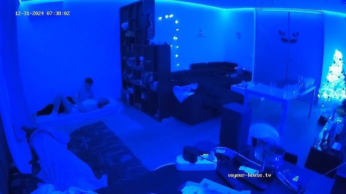 realm55-cam13-1735609157