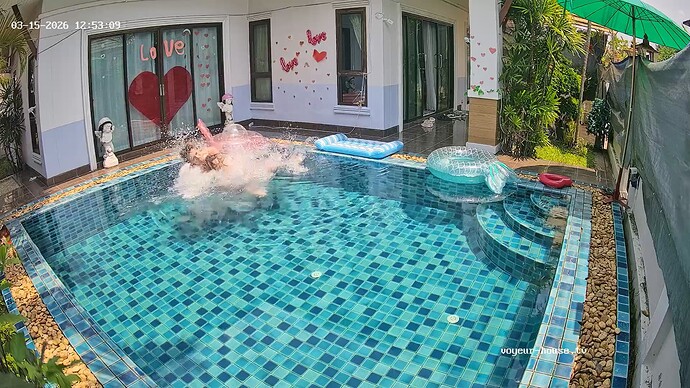 Noldus 2026-03-15 06-53-44-375