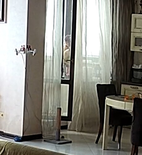 Screenshot_20260326_110127_Opera