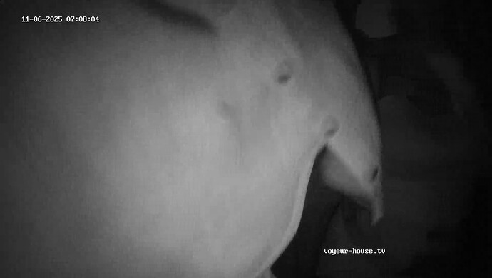 realm120-cam110-1762408667