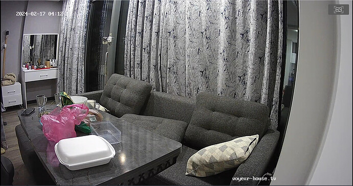 Screenshot 2024-02-17 at 05-16-43 Living room camera at Nikki reallifecam apartment at Voyeur House TV (cam13)