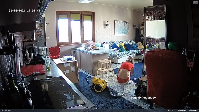 Ashampoo_Snap_dimanche 28 janvier 2024_14h3m21s_002_Living room camera at Tyrone & Cindy reallifecam apartment at Voyeur House TV (cam13) - Google Chrome