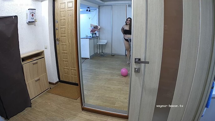 realm66-cam110-1732396799