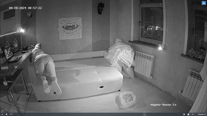 Ashampoo_Snap_vendredi 19 avril 2024_21h58m1s_005_Living room camera at Logan & Elice reallifecam apartment at Voyeur House TV (cam15) - Google Chrome