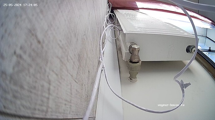 realm23-cam16-1716647080