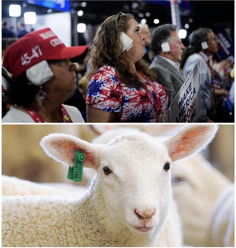 451744690_789702310023326_4200566852148848102_n