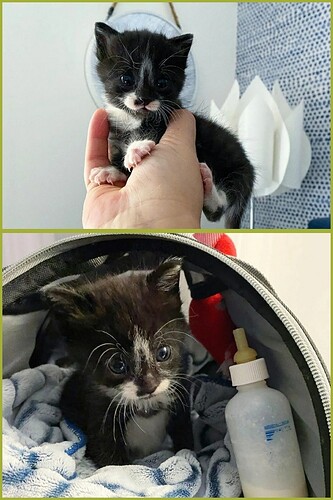 main-qimg-eb588ffdd7e0dc067d6c5c3169c5b4e1(1)