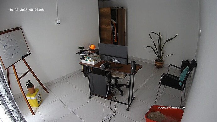 realm121-cam110-1760965784