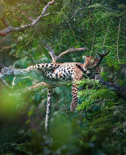 main-qimg-3107c7c08ed69ab7ed54f38c09728814