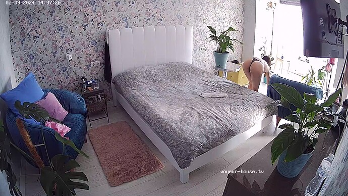 realm35-cam16-1707485989