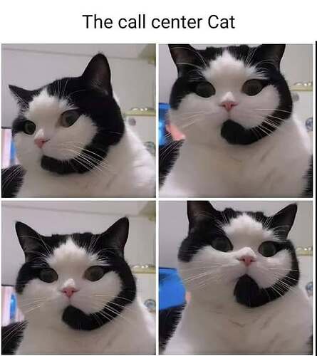 494681988_9628497757238841_5031113434410625739_n