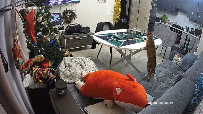 realm18-cam13-1768498165