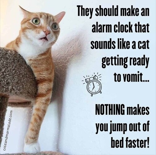 main-qimg-bb6036ce3dc45969757d9e7bf1a4ff2b