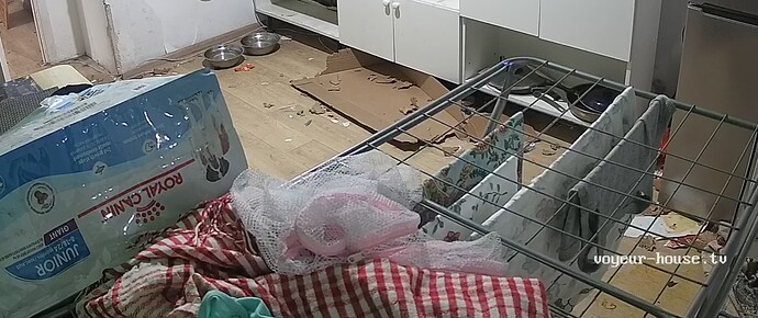 chrome-capture-2025-10-20 (2)