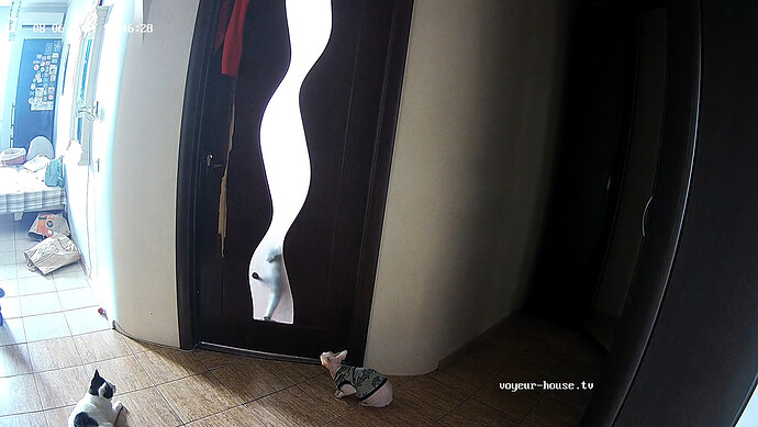 realm60-cam19-1722941229