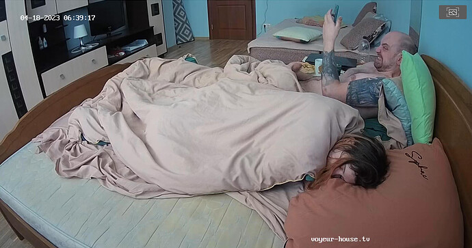 Screenshot 2023-04-18 at 04-12-19 Living room camera at Jakar & Lilka reallifecam apartment at Voyeur House TV (cam15)