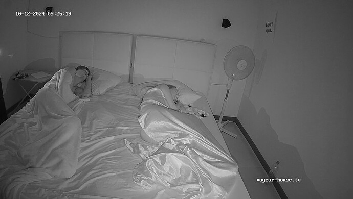 realm6-cam113-1728714515