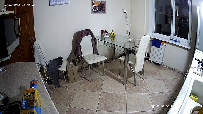 realm132-cam11-1766415036