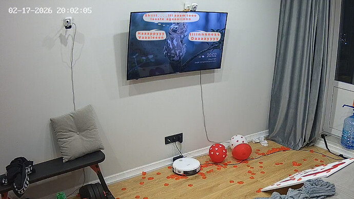 XanerGrossy-20260217-02